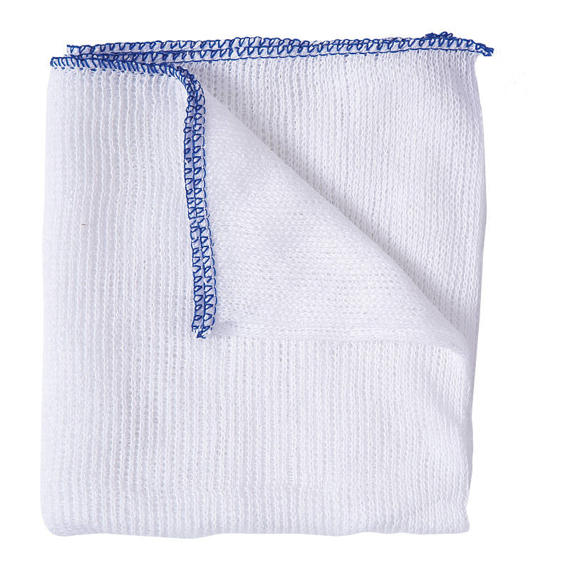 Dishcloths Blue Edge